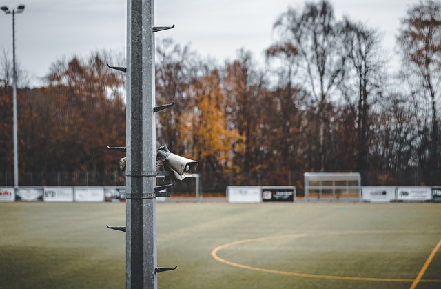 的积极影响 的积极影响