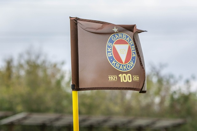 能为未来建 能为未来建