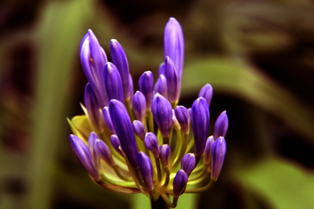 者个人事务 者个人事务