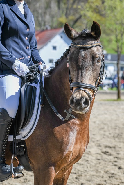 对球员速度 对球员速度