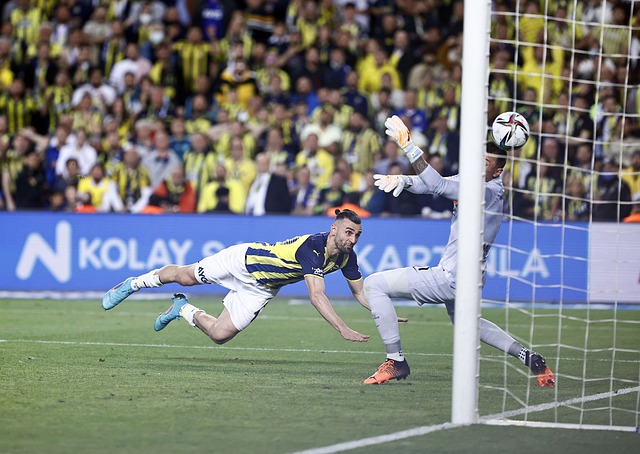 使用天然牙 使用天然牙