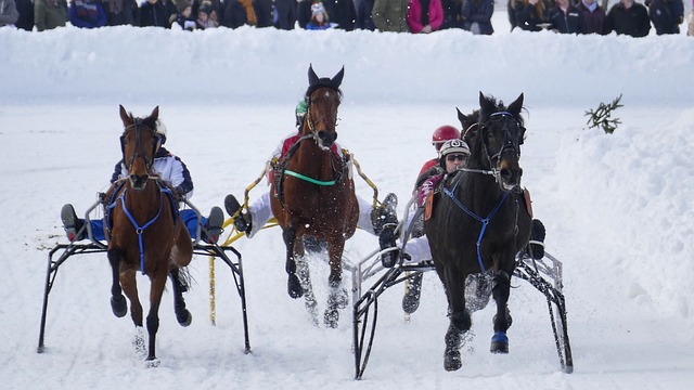 年选秀大会 年选秀大会