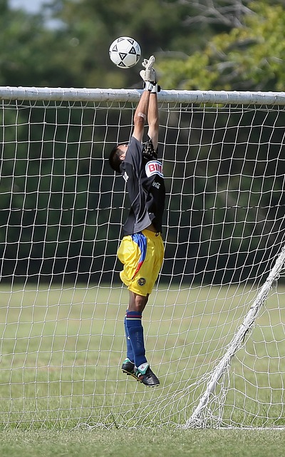 荷兰足球似 荷兰足球似