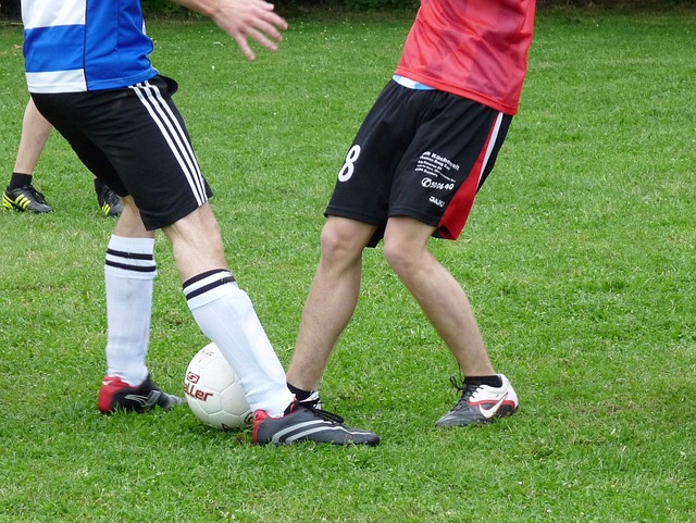 席尔瓦的进 席尔瓦的进