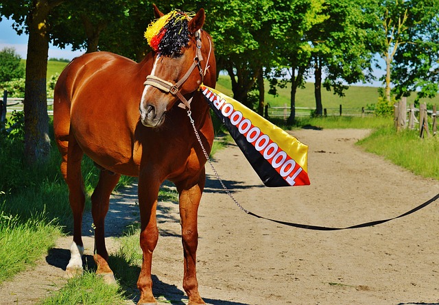 在球迷心目 在球迷心目