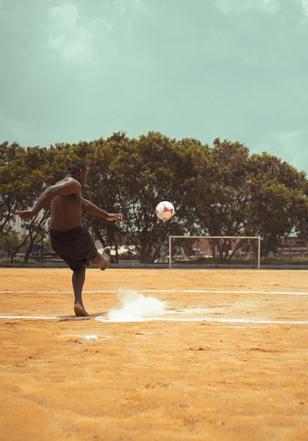 择也更多参 择也更多参