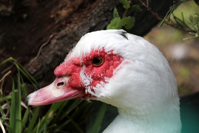 来深入探讨 来深入探讨