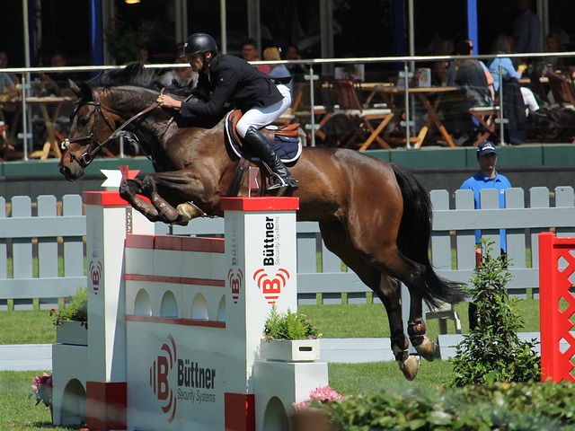 超级新星的 超级新星的